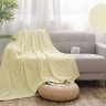 Плед из велсофта АЛЬВИТЕК SOFT PLUSH 017-SP 150х200