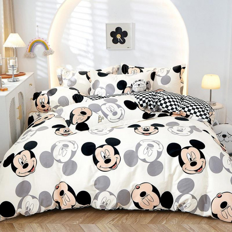 Постельное белье из сатина TANGO TS04-X270 50х70 (2шт), 70х70 (2шт) евро