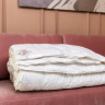 Одеяло кассетное GERMAN GRASS ROYAL DOWN GRASS 220х240 всесезонное Light