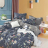 Постельное белье из твила TANGO TPIG-233 50х70 (2шт), 70х70 (2шт) евро