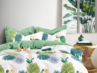 Постельное белье из твил-сатина TANGO ферна 70х70 (2шт) 1,5-спальное