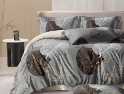 Постельное белье из сатина АЛЬВИТЕК CA-7-713 50х70 (2шт), 70х70 (2шт) семейное