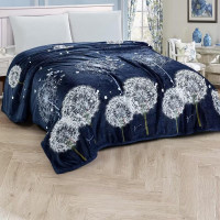 Плед из микрофибры TANGO ФЛАНЕЛЬ 3036-569 150х200