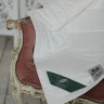 Одеяло стеганое из модала ANNA FLAUM MODAL KOLLEKTION 200х220 легкое