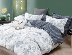 Постельное белье из твила TANGO TPIG6-1815 50х70 (2шт), 70х70 (2шт) евро