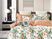 Постельное белье из египетского хлопка ASABELLA 2009-6 50х70 (2шт) и 70х70 (2шт) евро