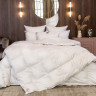 Одеяло кассетное GERMAN GRASS SILVER DOWN GRASS 200х220 всесезонное