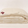 Одеяло кассетное GERMAN GRASS ORGANIC DOWN GRASS 150х200 всесезонное
