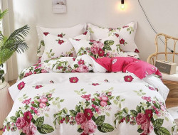 Постельное белье из твила TANGO роузи 50х70 (2шт) 2-спальное