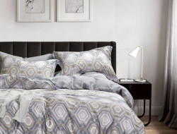 Постельное белье из тенсела ASABELLA 1893-6 50х70 (2шт) и 70х70 (2шт) евро