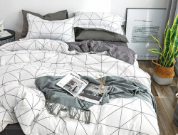 Постельное белье из микросатина TANGO DREAM FLY DF-179-70 70х70 (2шт) семейное