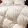 Одеяло кассетное GERMAN GRASS SILK DOWN GRASS 240х260 теплое