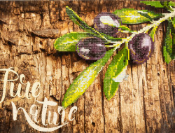 Кристальная (алмазная) мозаика ФРЕЯ ALVR-222 Веточка оливы