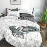 Постельное белье из микросатина TANGO DREAM FLY DF-179-70 70х70 (2шт) 2-спальное