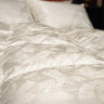 Одеяло кассетное GERMAN GRASS SILK DOWN GRASS 240х260 всесезонное