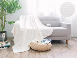 Плед из велсофта АЛЬВИТЕК SOFT PLUSH 014-SP 200х220