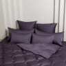 Постельное белье с простыней на резинке 180х200 GERMAN GRASS VIOLET BRILLIANT GRASS 50х70 (2шт) евро