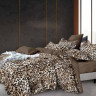 Постельное белье из микросатина TANGO DF-507-70 DREAM FLY 70х70 (2шт) 2-спальное
